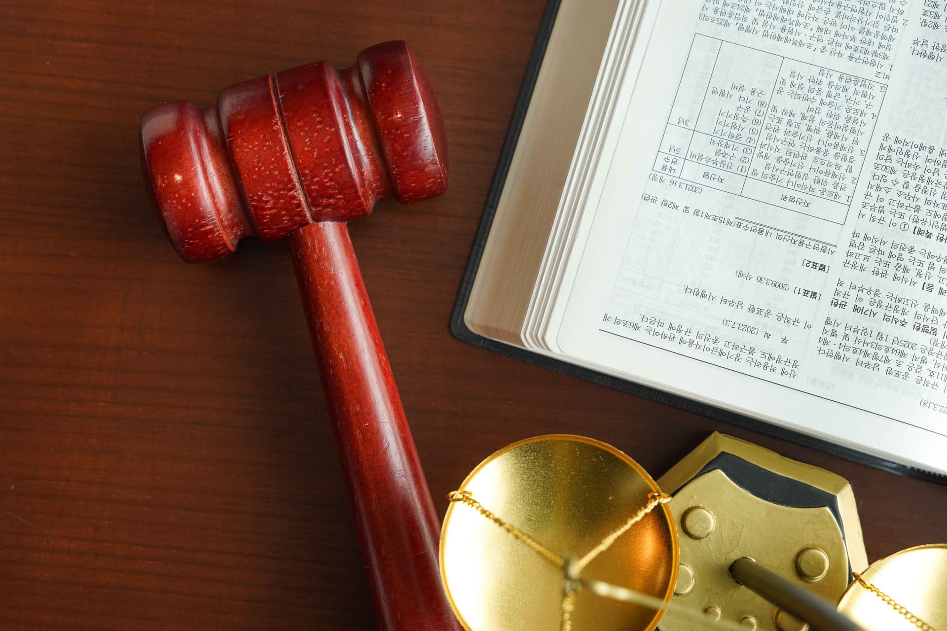 유권해석 | 정의와 특징